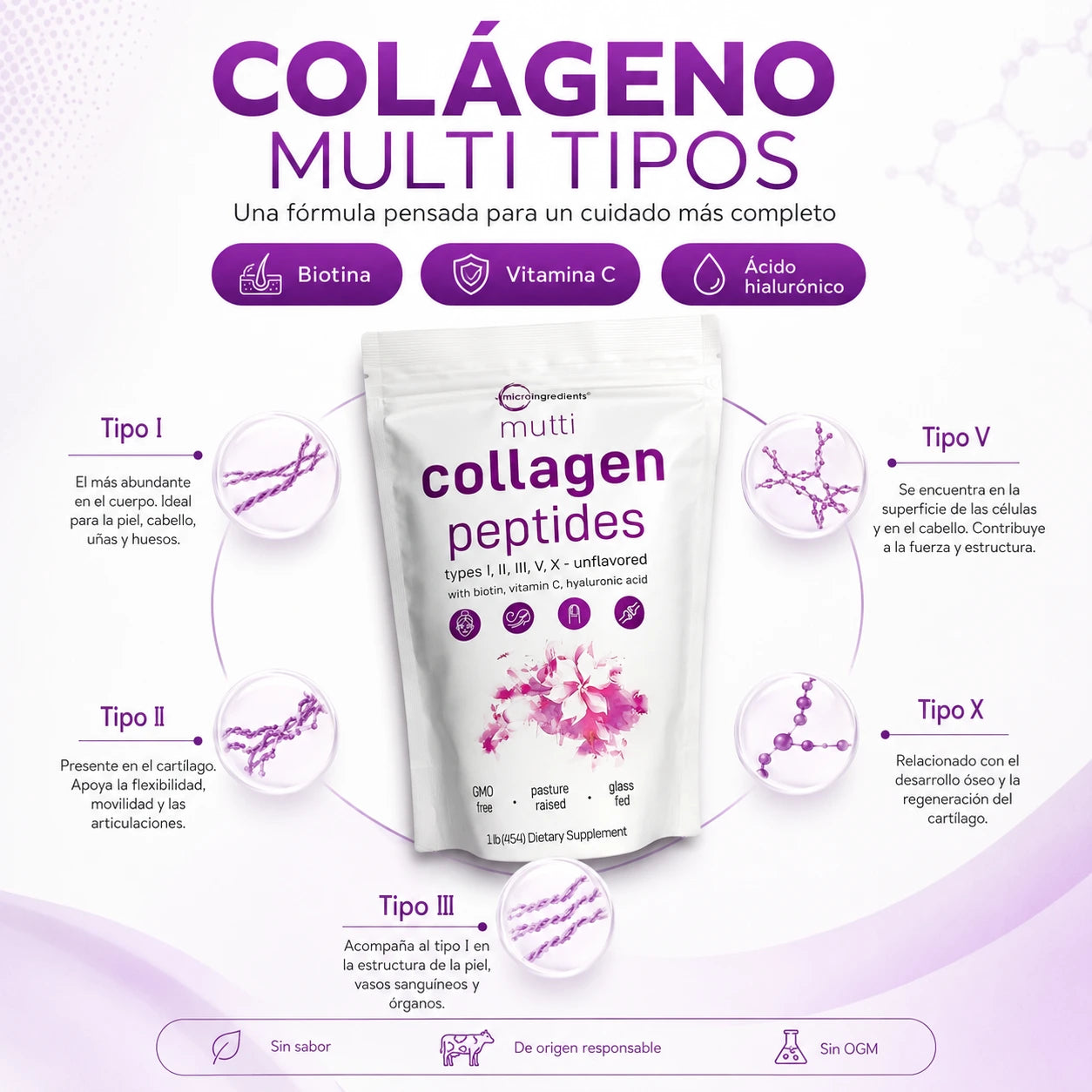 Colágeno Multi Peptides 5 Tipos – Piel, Cabello, Uñas y Articulaciones