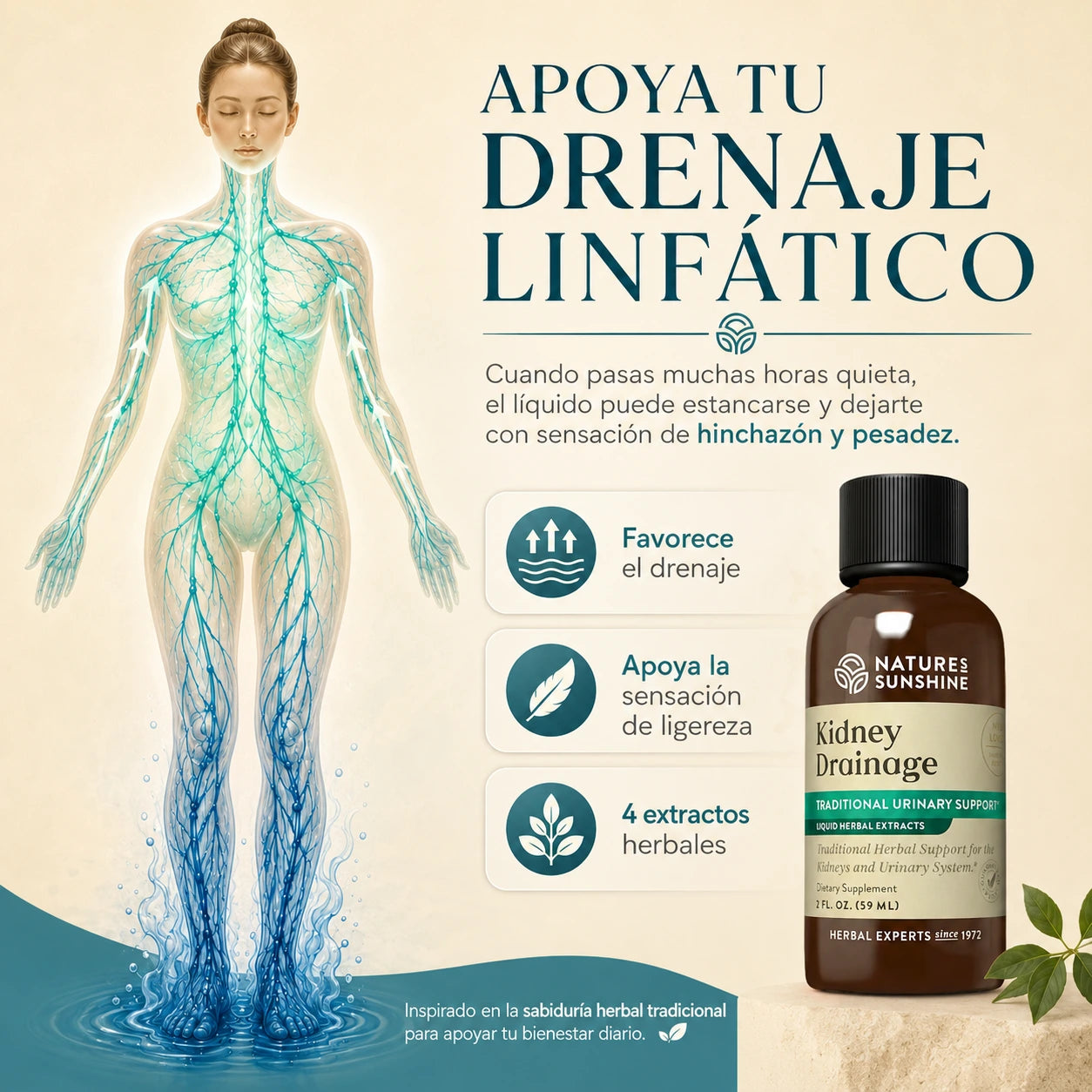 Drenaje Linfático en Gotas — Nature's Sunshine